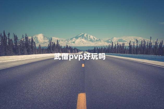 武僧pvp好玩吗