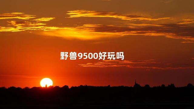 野兽9500好玩吗