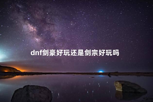 dnf剑豪好玩还是剑宗好玩吗