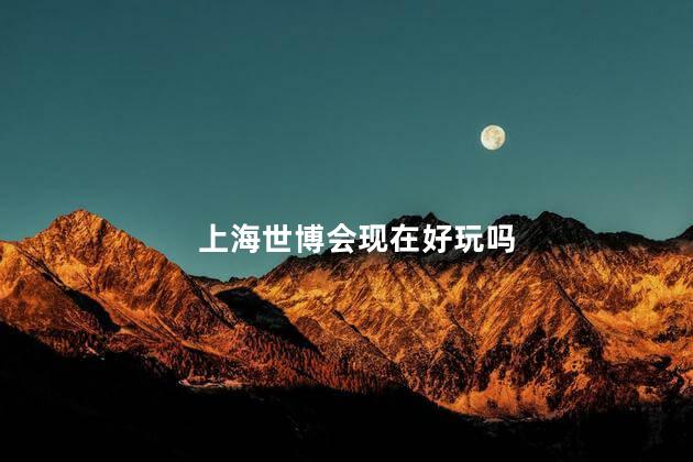 上海世博会现在好玩吗