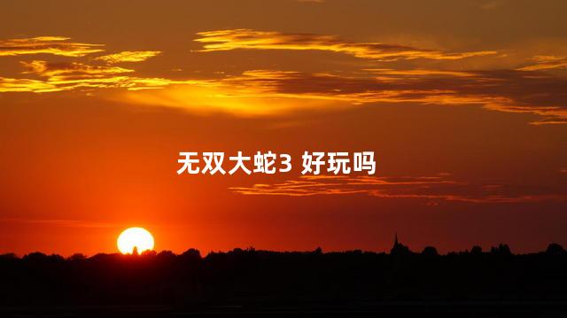 无双大蛇3 好玩吗
