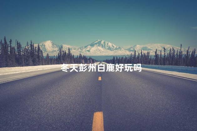 冬天彭州白鹿好玩吗