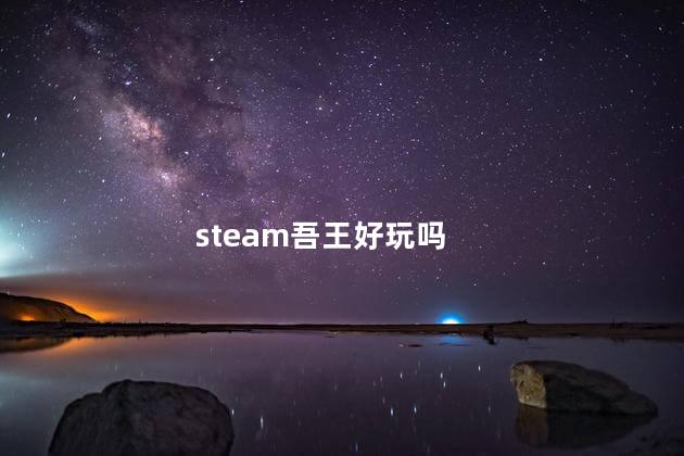 steam吾王好玩吗