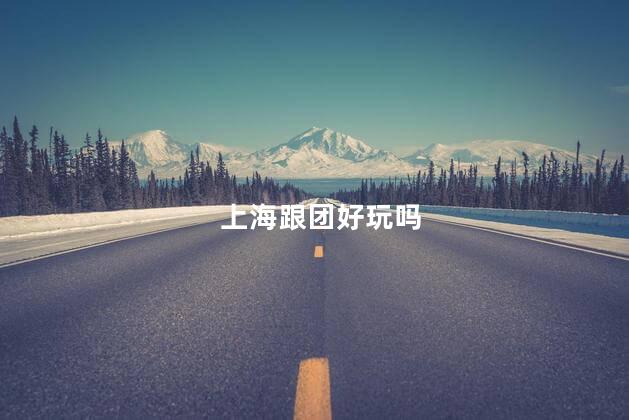 上海跟团好玩吗