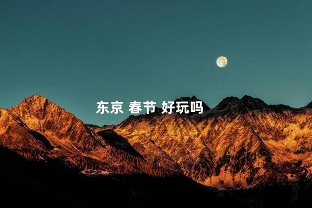 东京 春节 好玩吗