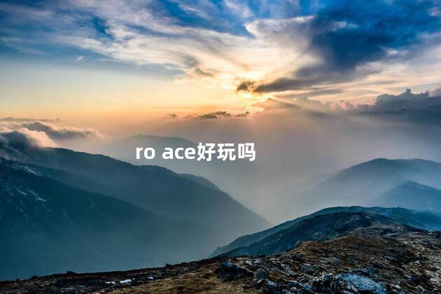 ro ace好玩吗