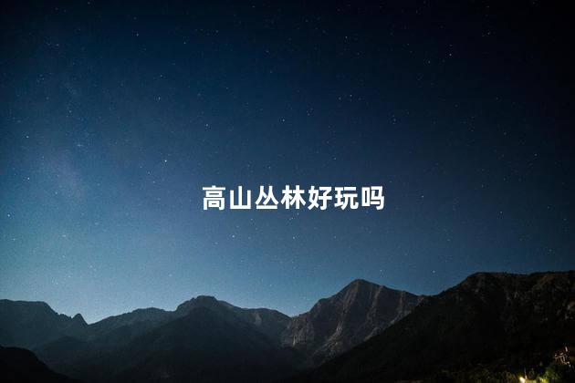 高山丛林好玩吗