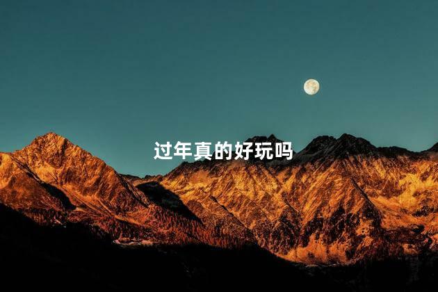 过年真的好玩吗