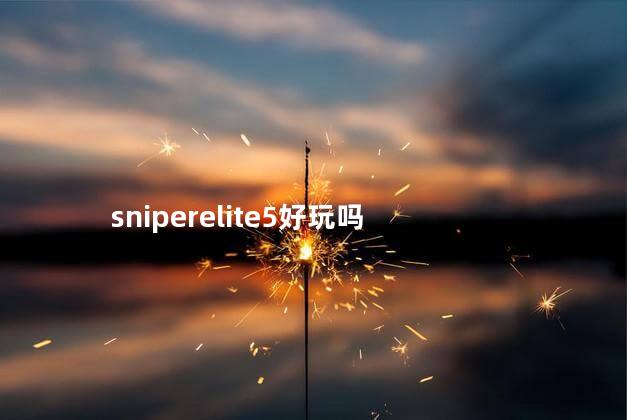 sniperelite5好玩吗
