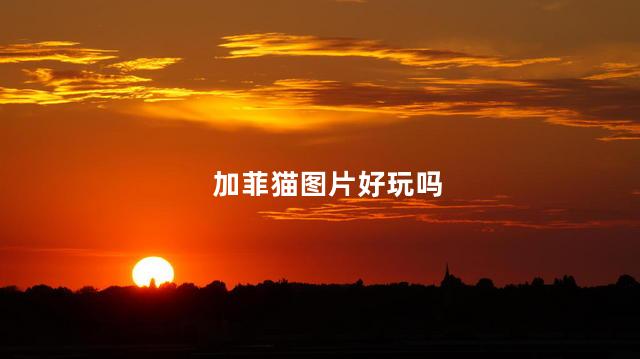 加菲猫图片好玩吗