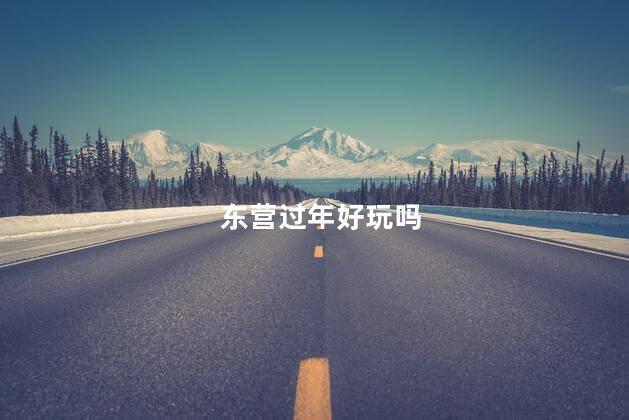 东营过年好玩吗