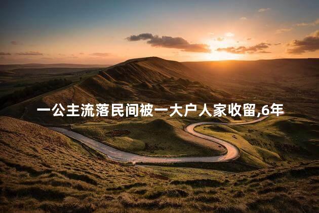 一公主流落民间被一大户人家收留，6年后恢复身份斩杀恩人全家