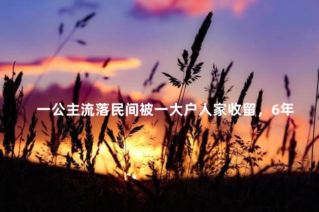 一公主流落民间被一大户人家收留，6年后恢复身份斩杀恩人全家