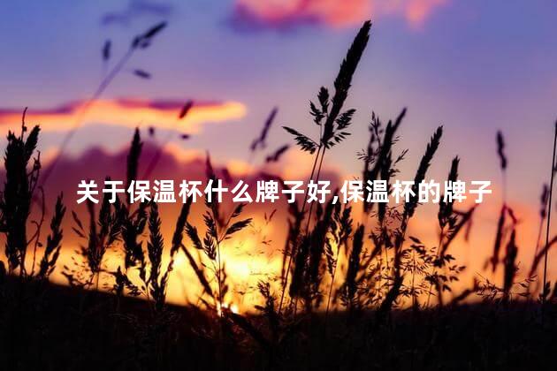 关于保温杯什么牌子好，保温杯的牌子