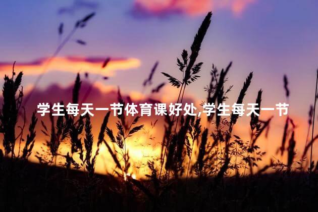 学生每天一节体育课好处，学生每天一节体育课有什么益处