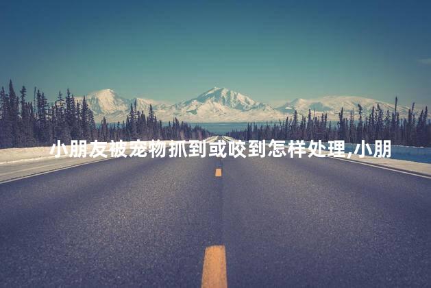 小朋友被宠物抓到或咬到怎样处理，小朋友被宠物抓到或咬到有事吗