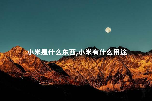 小米是什么东西，小米有什么用途