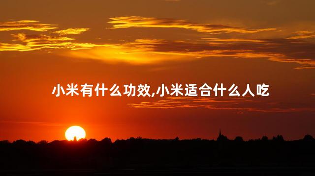 小米有什么功效，小米适合什么人吃