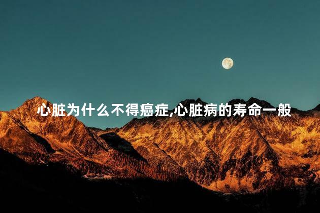 心脏为什么不得癌症，心脏病的寿命一般是多久