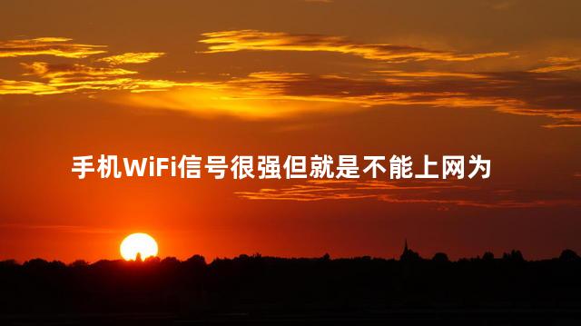 手机WiFi信号很强但就是不能上网为什么