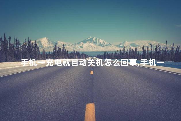 手机一充电就自动关机怎么回事，手机一充电就自动关机应该怎样做