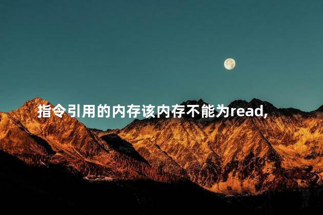 指令引用的内存该内存不能为read，read是什么