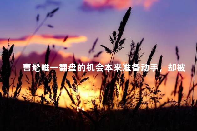曹髦唯一翻盘的机会本来准备动手，却被司马昭识破了