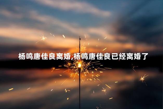 杨鸣唐佳良离婚，杨鸣唐佳良已经离婚了吗