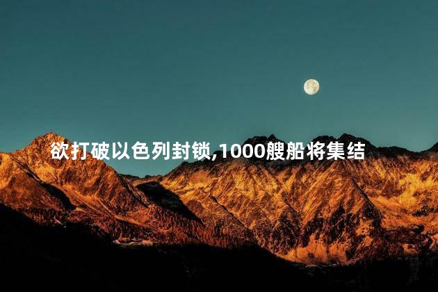 欲打破以色列封锁，1000艘船将集结