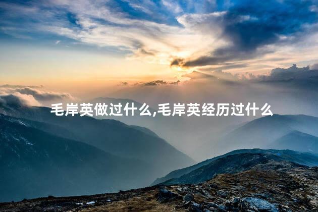毛岸英做过什么，毛岸英经历过什么
