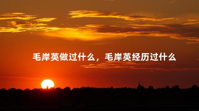 毛岸英做过什么，毛岸英经历过什么
