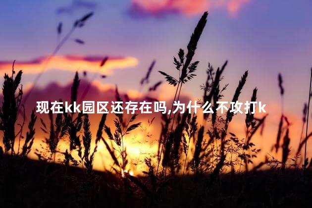 现在kk园区还存在吗，为什么不攻打kk园区