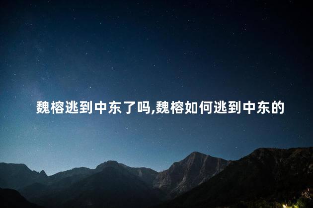 魏榕逃到中东了吗，魏榕如何逃到中东的